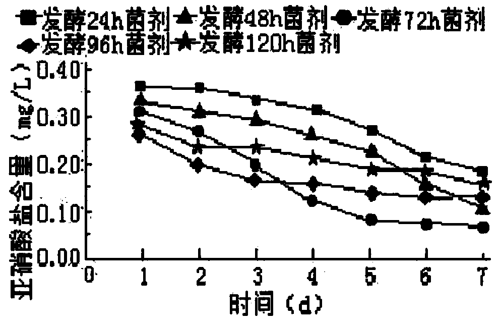 Microorganism water purification agent and preparation method thereof
