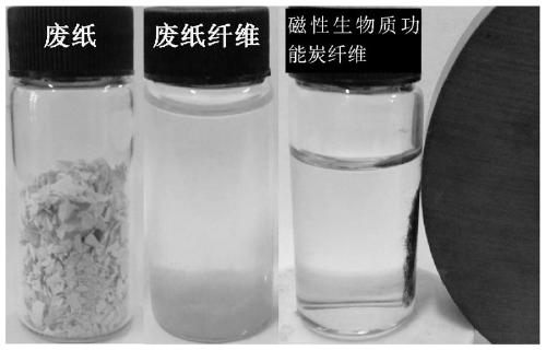 Magnetic biomass functional carbon fiber based on photo-Fenton catalysis, preparation method and application thereof