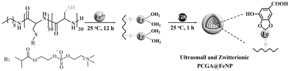 Zwitterionic Polypeptide/Gallic Acid/Iron Coordination Nanoparticles with Ultra-Small Particle Size and Its Preparation Method and Application