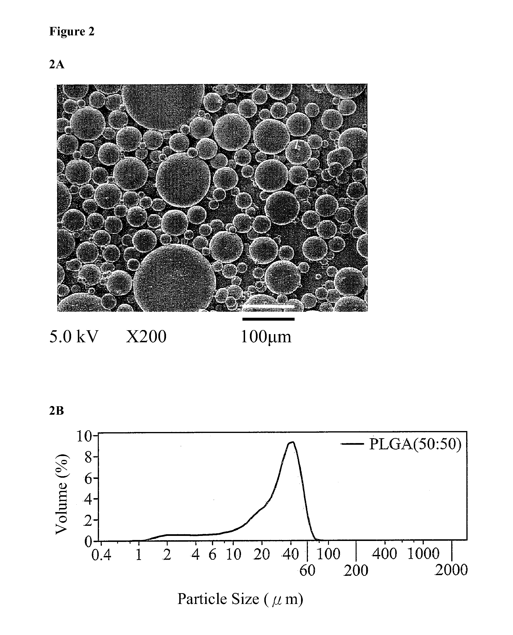 Sustained Release Systems and Preparation Method Thereof