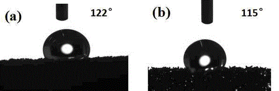Hydrophobic and oleophobic open-cell foam material and preparation method thereof