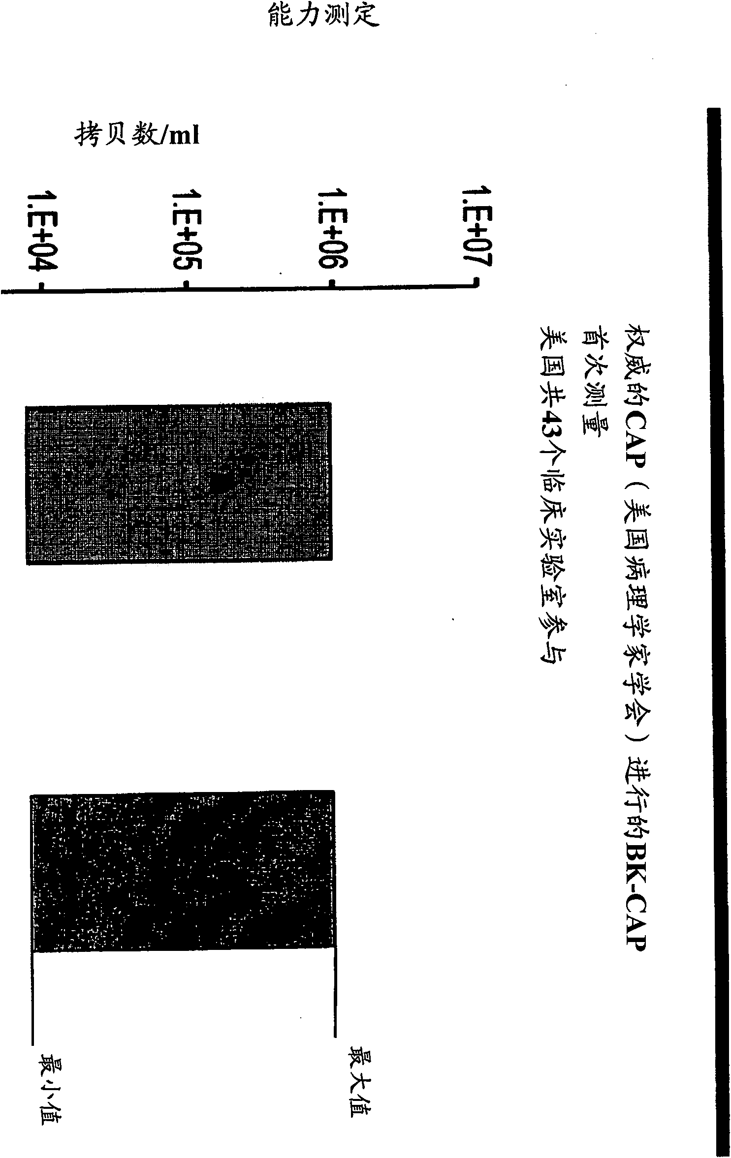 Detection of polyomavirus