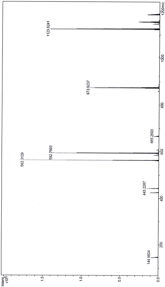Rhodamine B derivative, preparation method and application of rhodamine B derivative serving as fluorescent probe