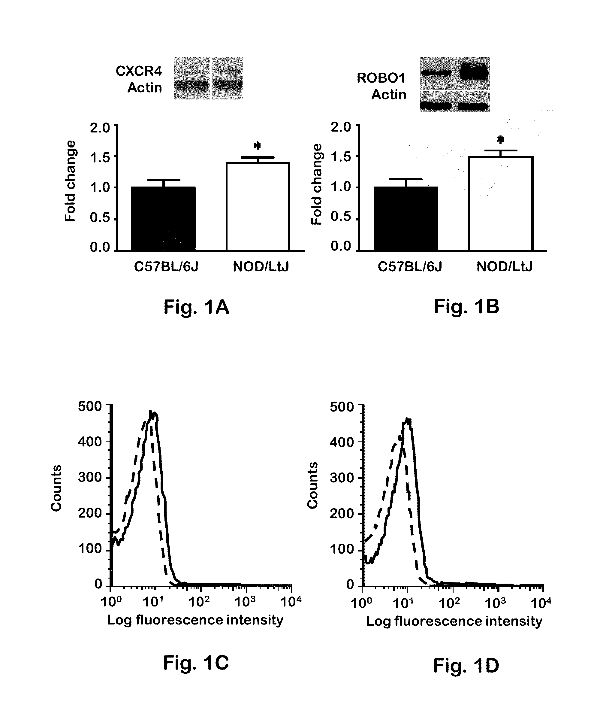 CXCR4 and ROBO1 expression as markers for autoimmune diabetes