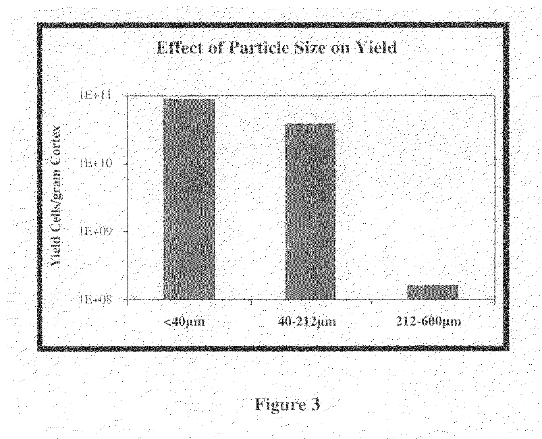 Methods for Enhanced Propagation of Cells