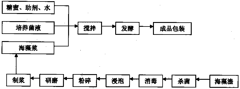 Novel biological water purifying sphere and preparation process thereof