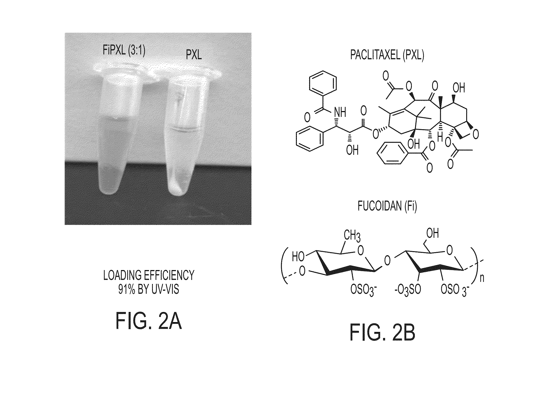 Fucoidan nanogels and methods of their use and manufacture