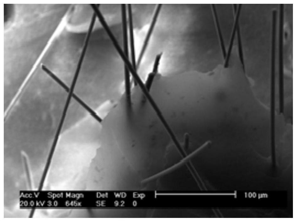 Water glass based fiber reinforced sio  <sub>2</sub> Rapid preparation method of airgel block