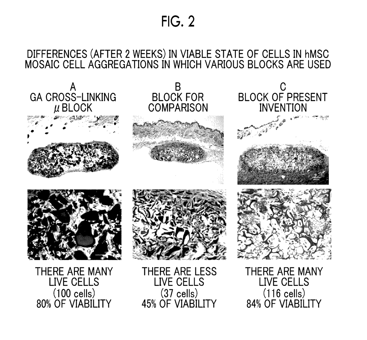 Cell structure for brain damage treatment, production method thereof, and brain damage treatment agent