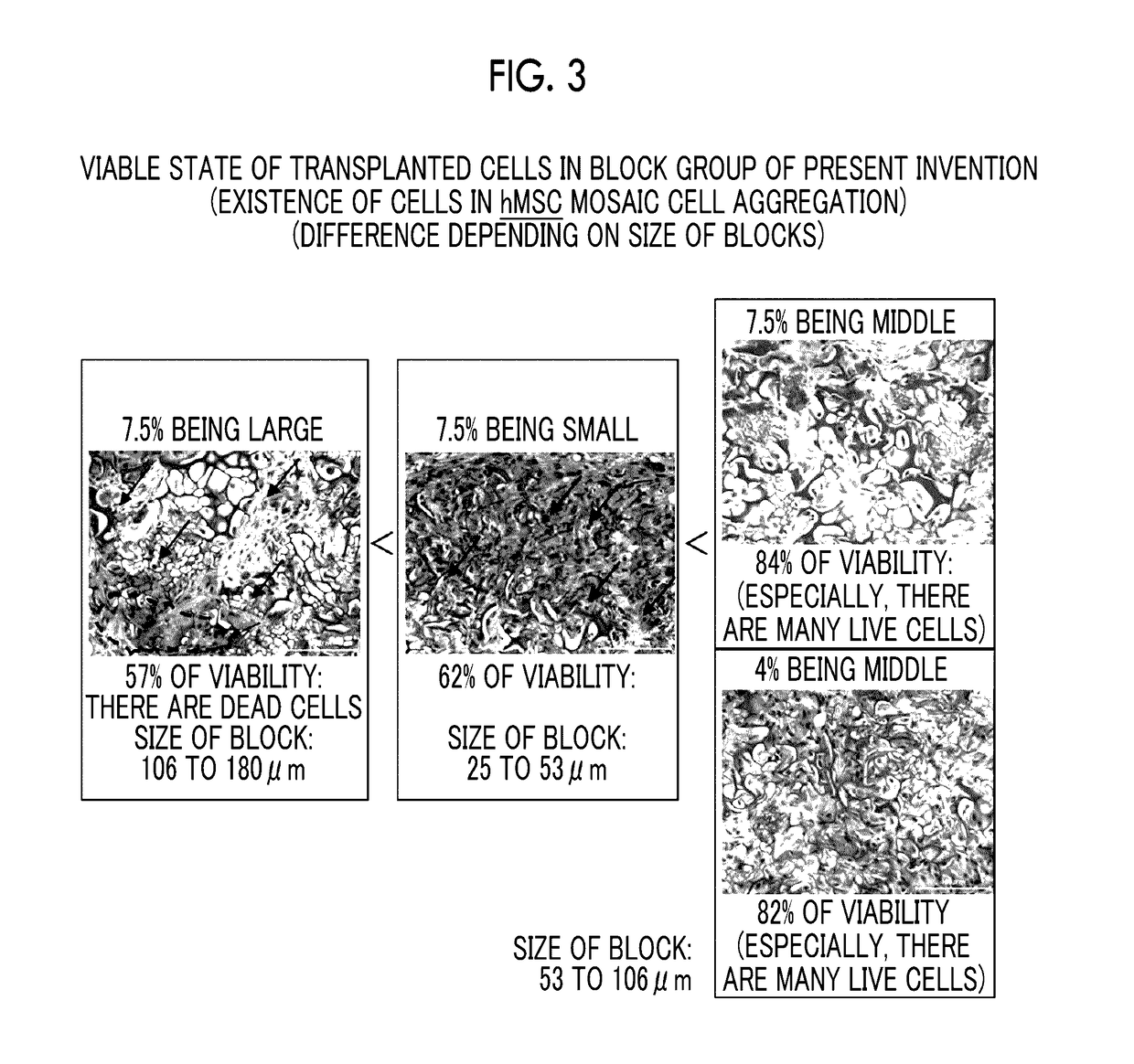 Cell structure for brain damage treatment, production method thereof, and brain damage treatment agent