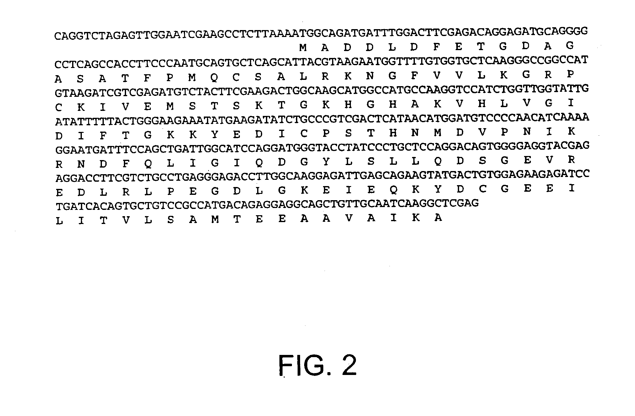 Nucleic acids, polypeptides, compositions, and methods for modulating apoptosis