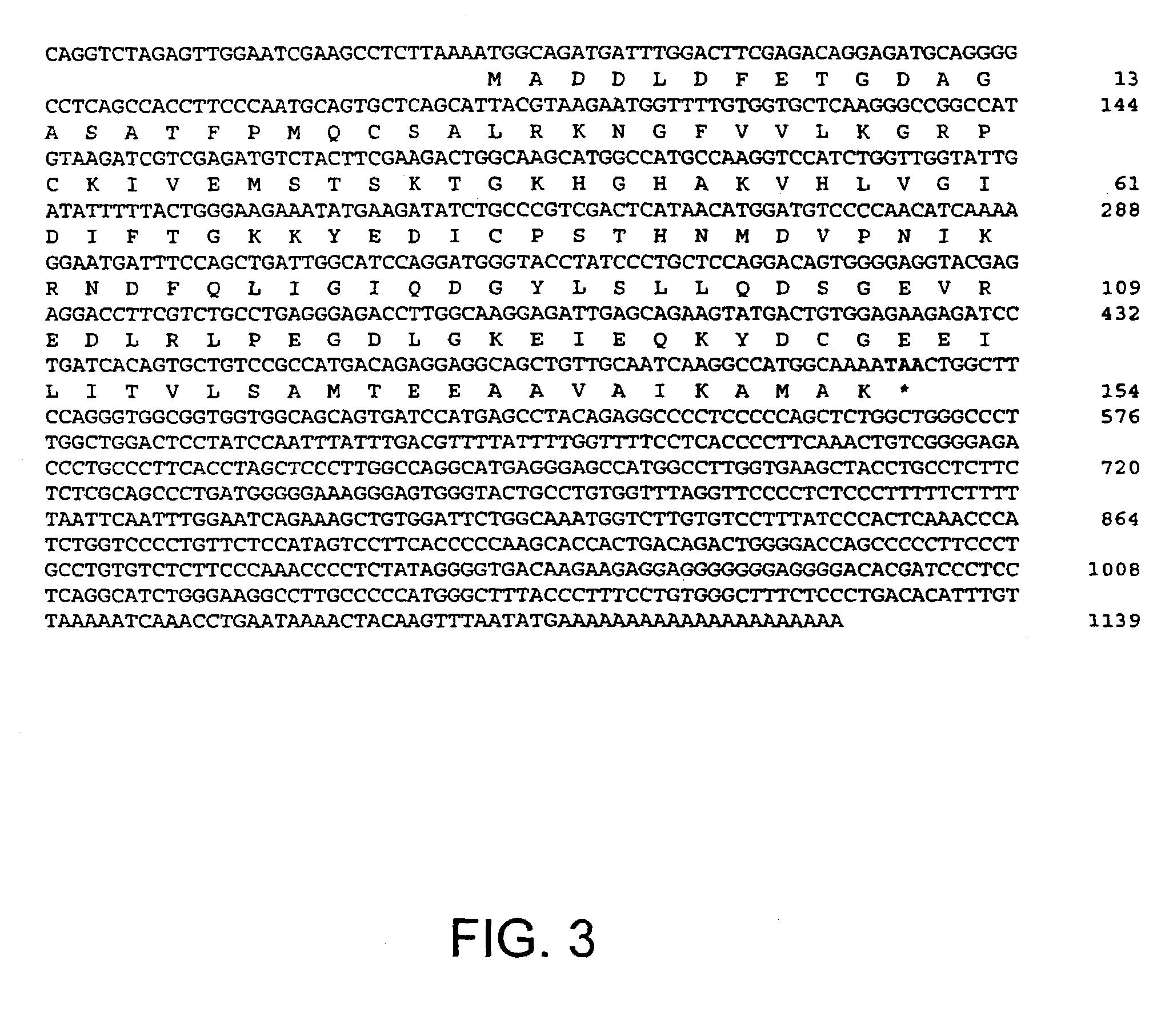 Nucleic acids, polypeptides, compositions, and methods for modulating apoptosis