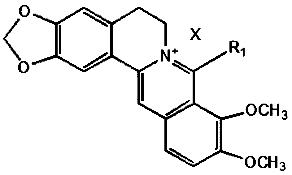 Application of 8-alkylberberine salt in the preparation of drugs for the prevention and treatment of lung cancer