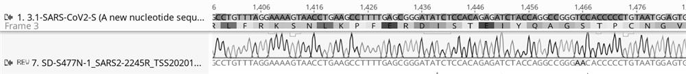 Screening method of SARS-CoV2 potential mutation sites and application thereof