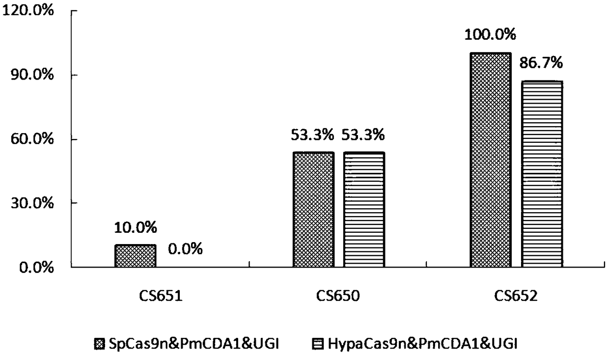 Nicking enzyme and application thereof to genome base substitution