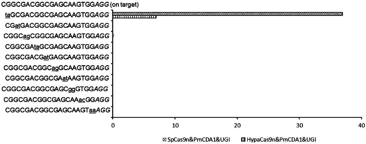 Nicking enzyme and application thereof to genome base substitution