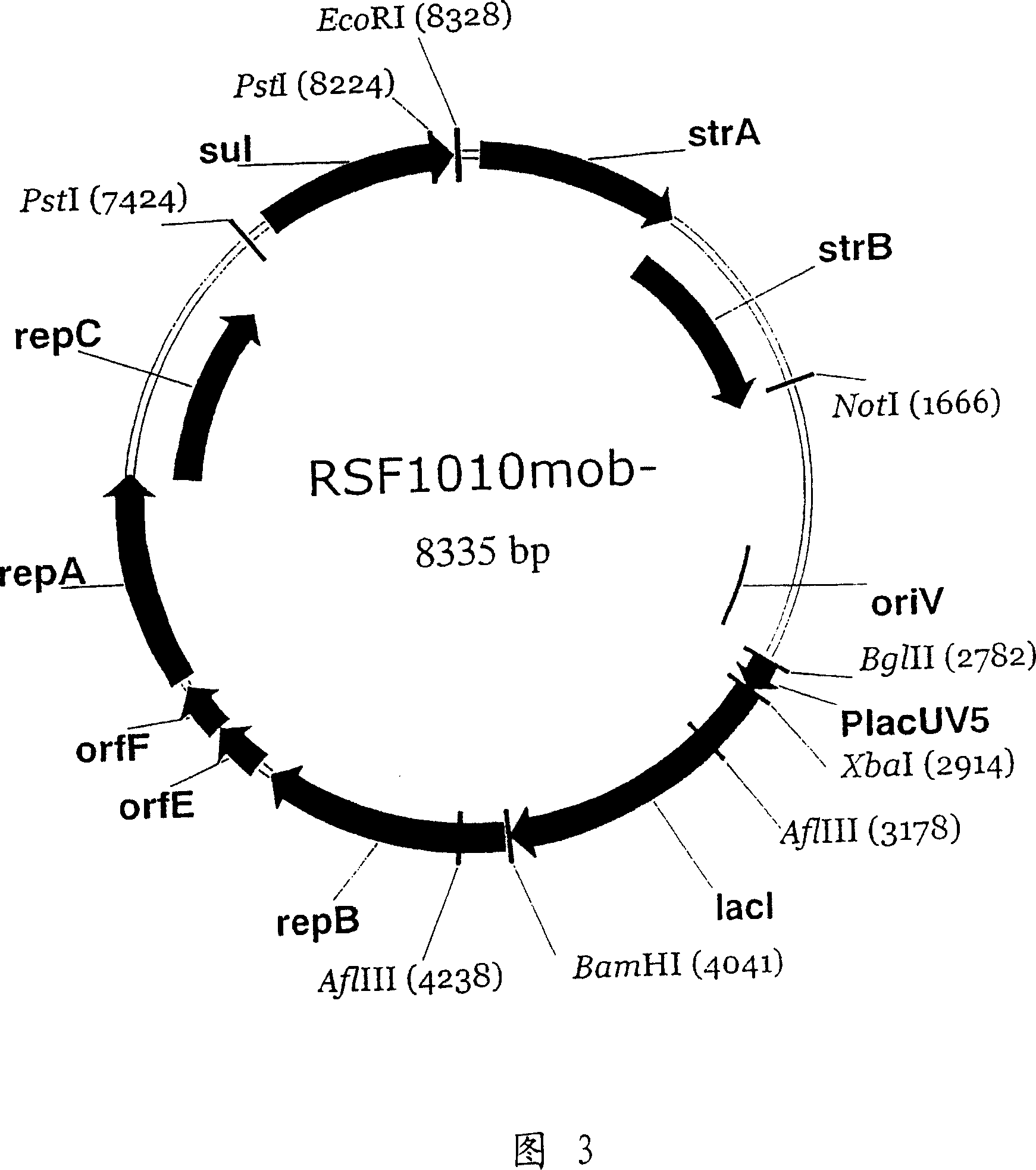 Rsf1010 derivative mob' plasmid containing no antibiotic resistance gene, bacterium comprising the plasmid and method for producing useful metabolites
