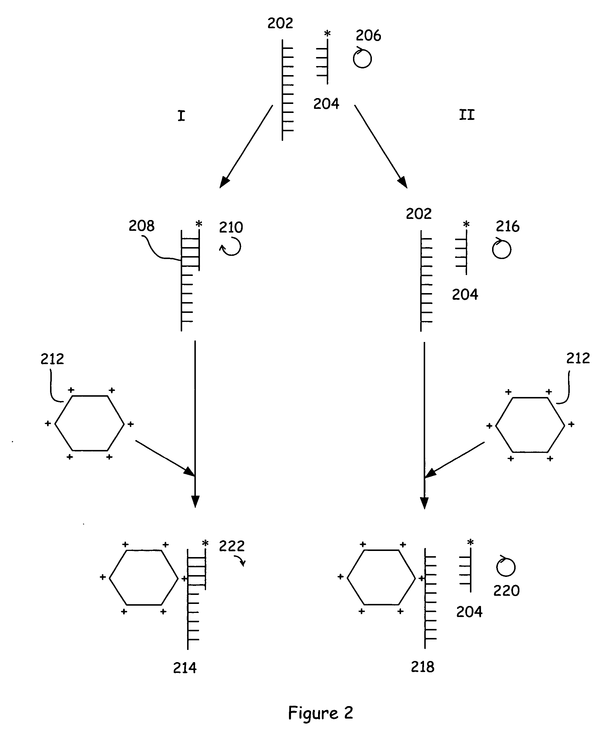 Assay methods and systems