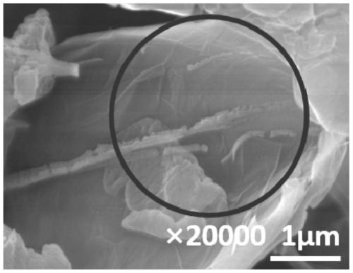 Modified polytetrafluoroethylene and its preparation method and modified polytetrafluoroethylene parts