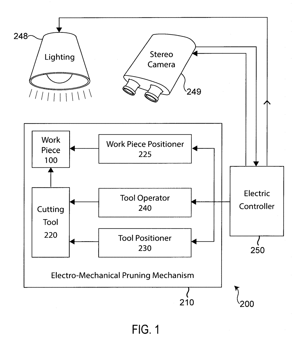 Automated pruning or harvesting system for complex morphology foliage