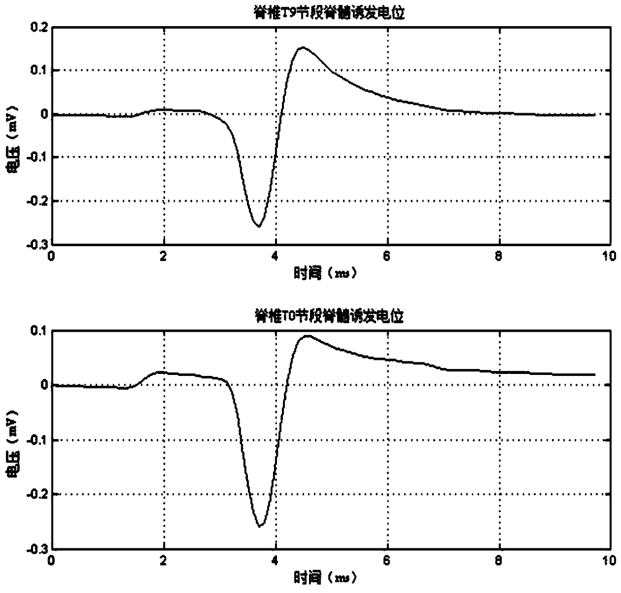 A system and method for detecting and evaluating nerve signal of a rat spinal cord