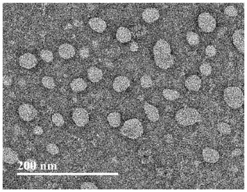 A kind of pyrromidazole polyamide liposome and its preparation method and application