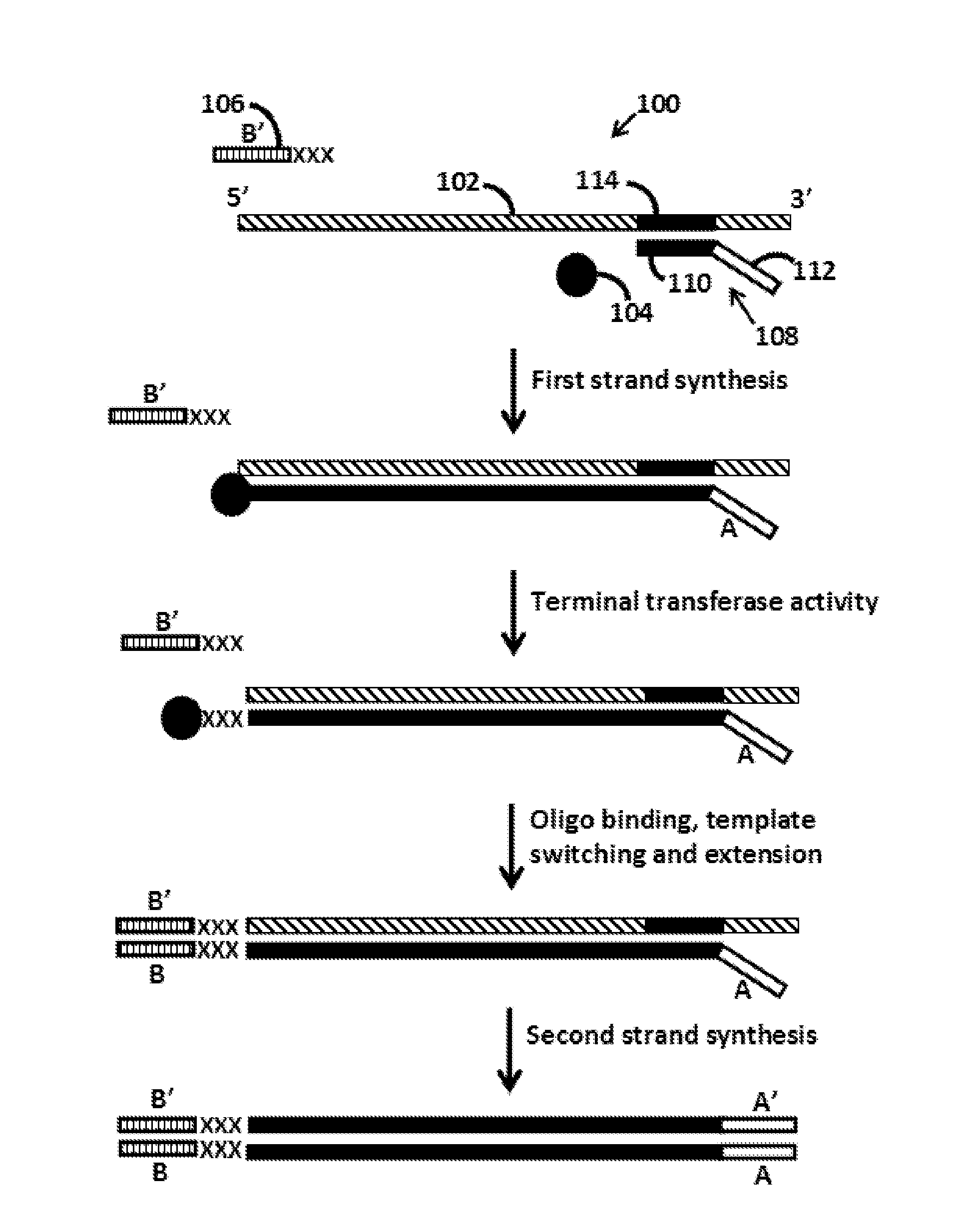Template switch-based methods for producing a product nucleic acid