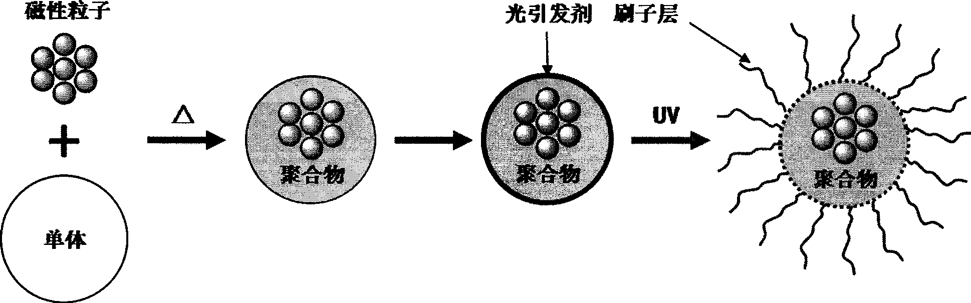 Method for preparing nanometer spherical polyelectrolyte brush with magnetic kernel