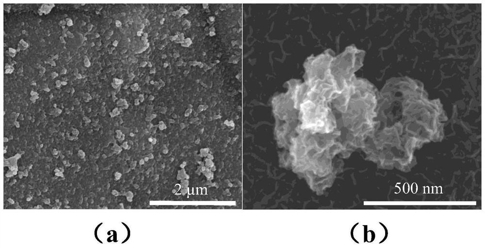 FeS-coated SW/NF electrocatalyst and preparation method and application thereof