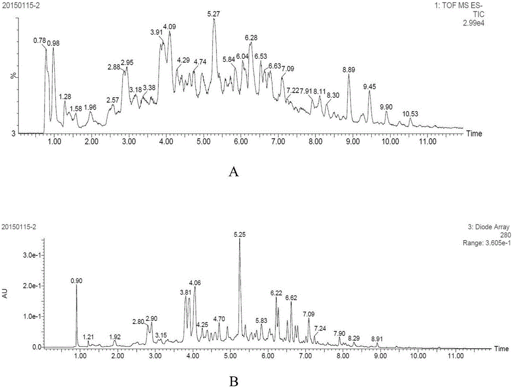 Method for extracting polyphenol substances from semen juglandis with inner seed coats by aid of combined enzyme and ultrasonic treatment