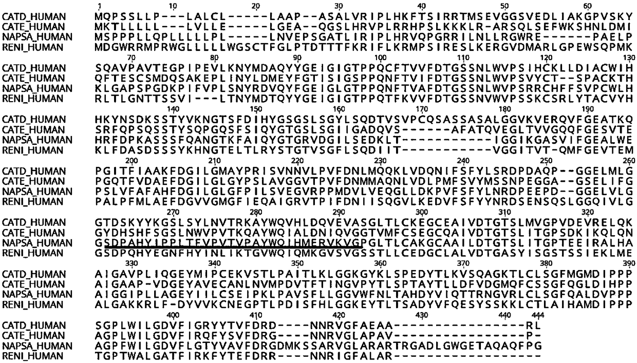 Monoclonal antibody against Napsin A protein, cell strain, preparation method and application