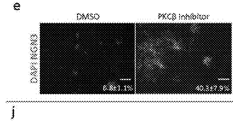 Compositions and methods for promoting the generation of endocrine cells