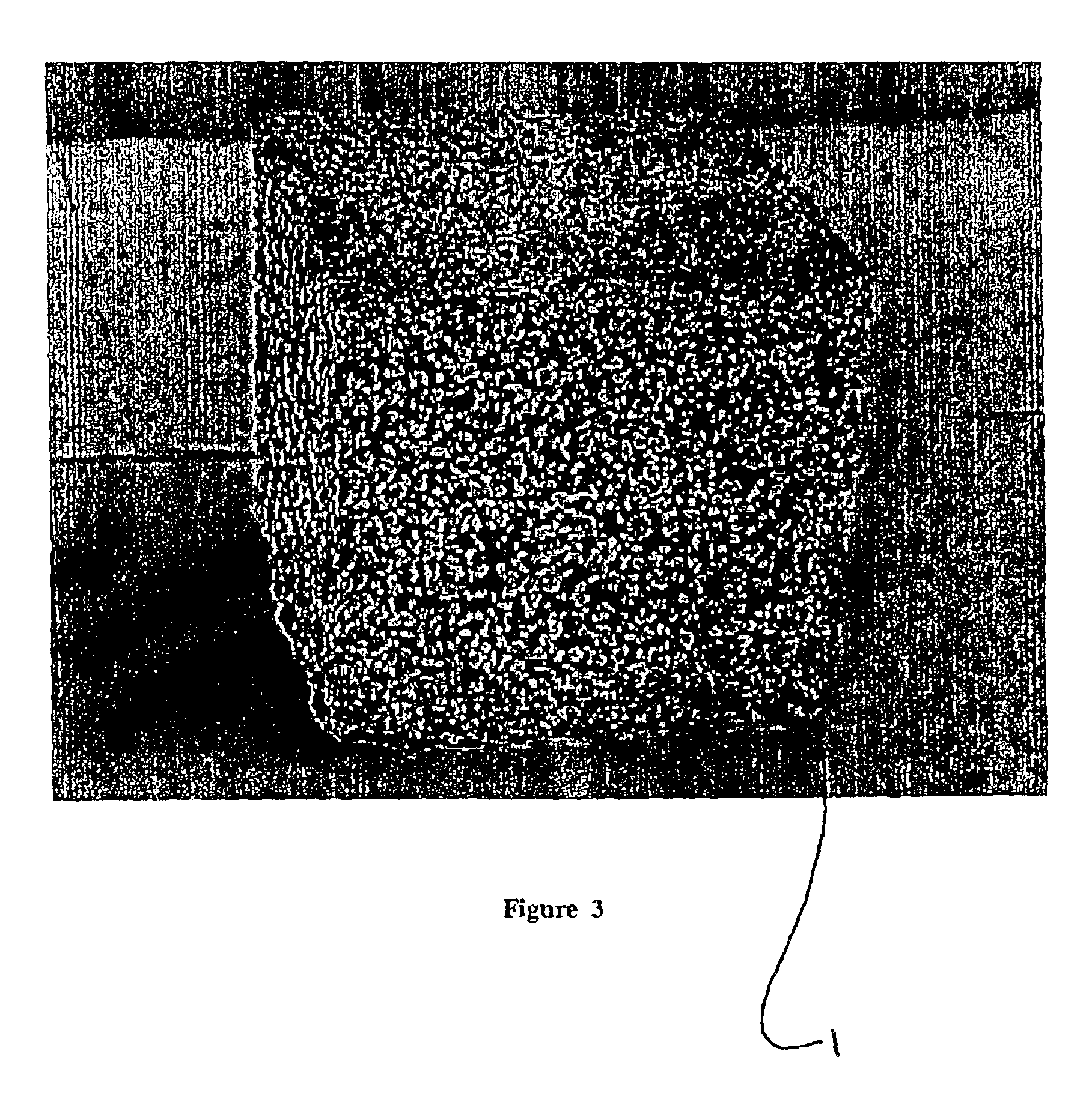 Lightweight and porous construction materials containing rubber