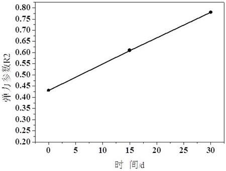 A preparation method of enzymolysis rice protein with increased telomere length