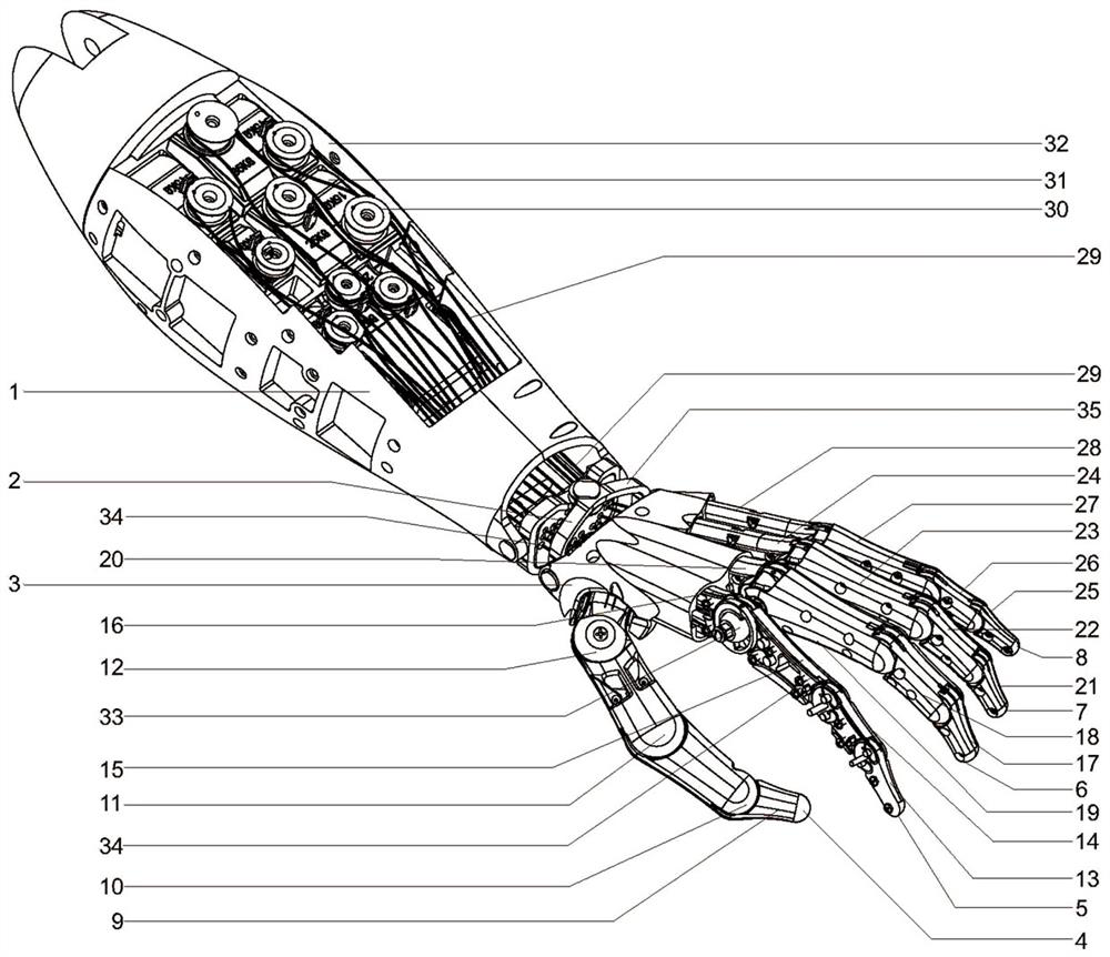 Bionic hand mechanism and robot using same