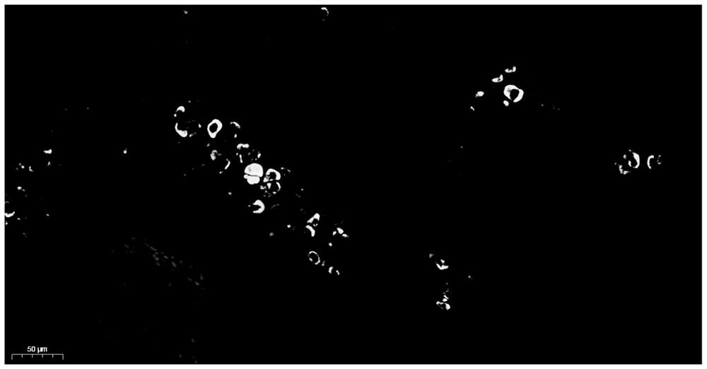 Paraffin section immunofluorescence multiple staining kit and use method thereof