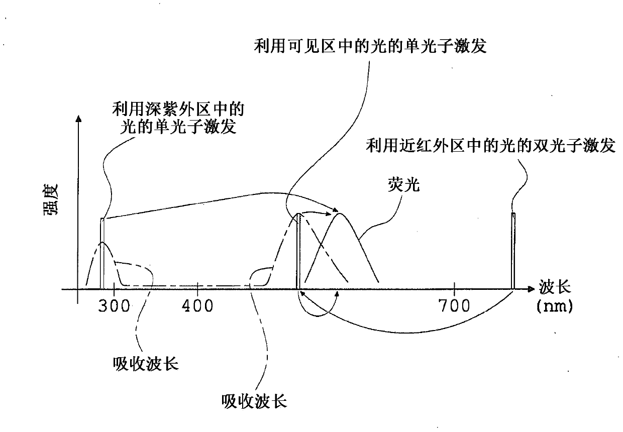 Fluorescece obsevation method and fluorescence obsevation apparatus