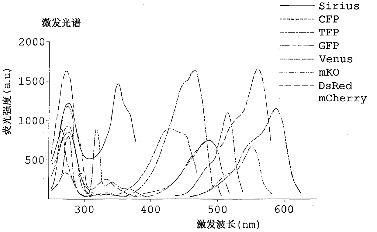 Fluorescece obsevation method and fluorescence obsevation apparatus