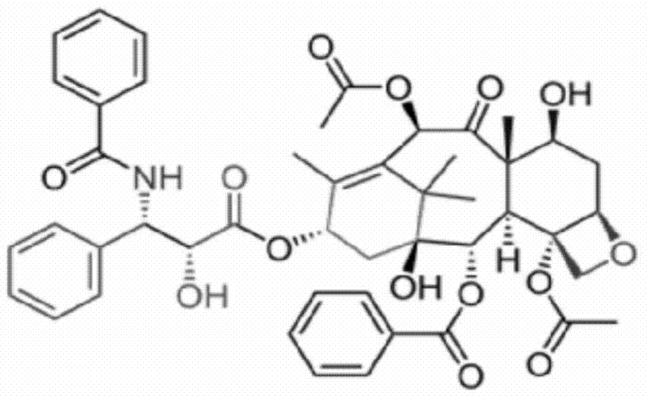 Medicinal composition of paclitaxel