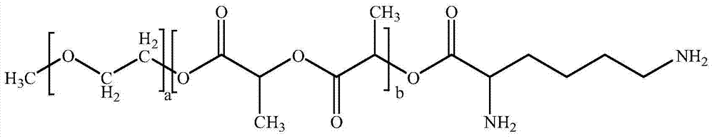 Medicinal composition of paclitaxel