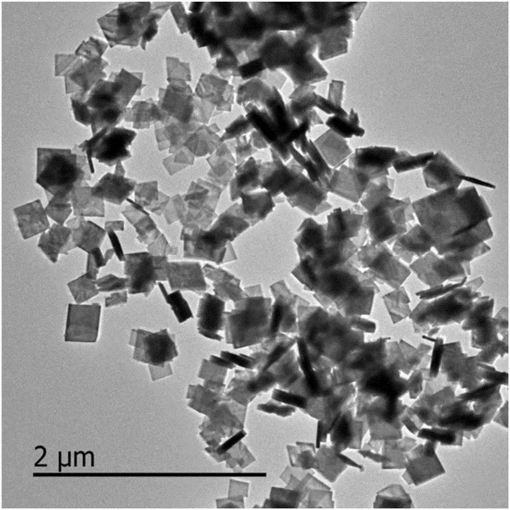 Preparation method for bismuth ferrite BiFeO3 nanosheet