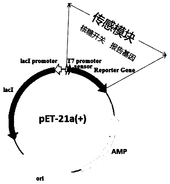 Detection carrier based on blood glucose meter detection