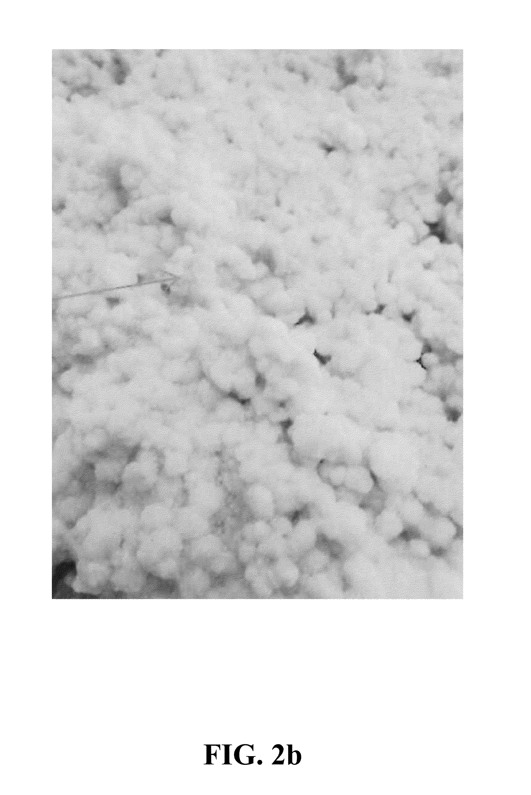 Process for coagulating sulfonated block copolymers