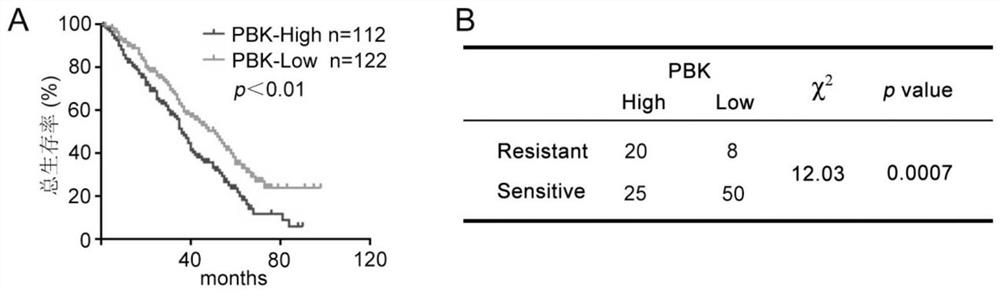 Application of pbk as a target of cisplatin resistance in ovarian cancer