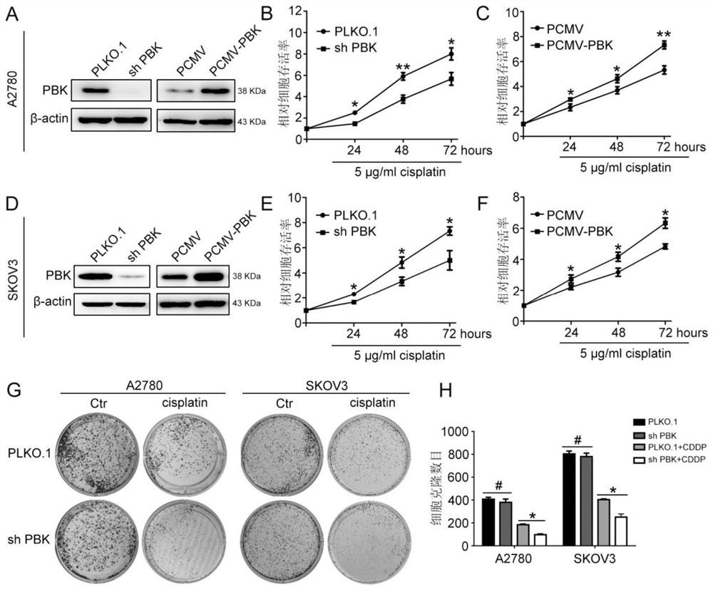 Application of pbk as a target of cisplatin resistance in ovarian cancer