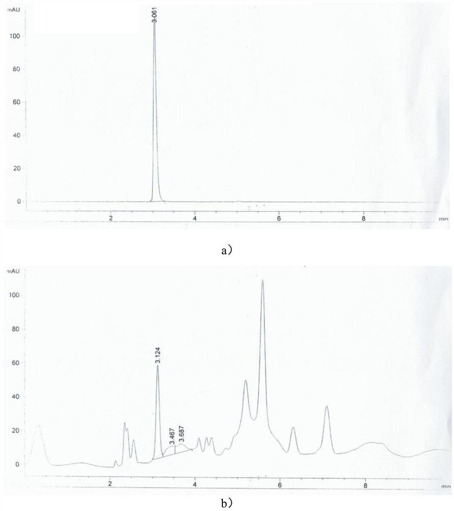 Tricholoma matsutake and method for producing ergothioneine with same