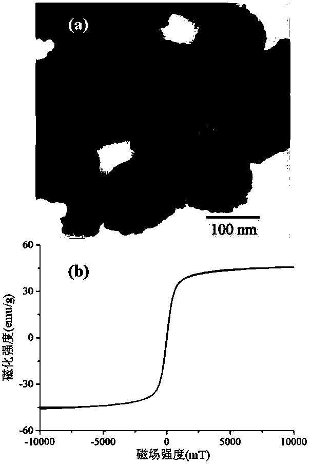 Preparation method for hydrophilic magnetic nano material for enrichment of glycopeptides