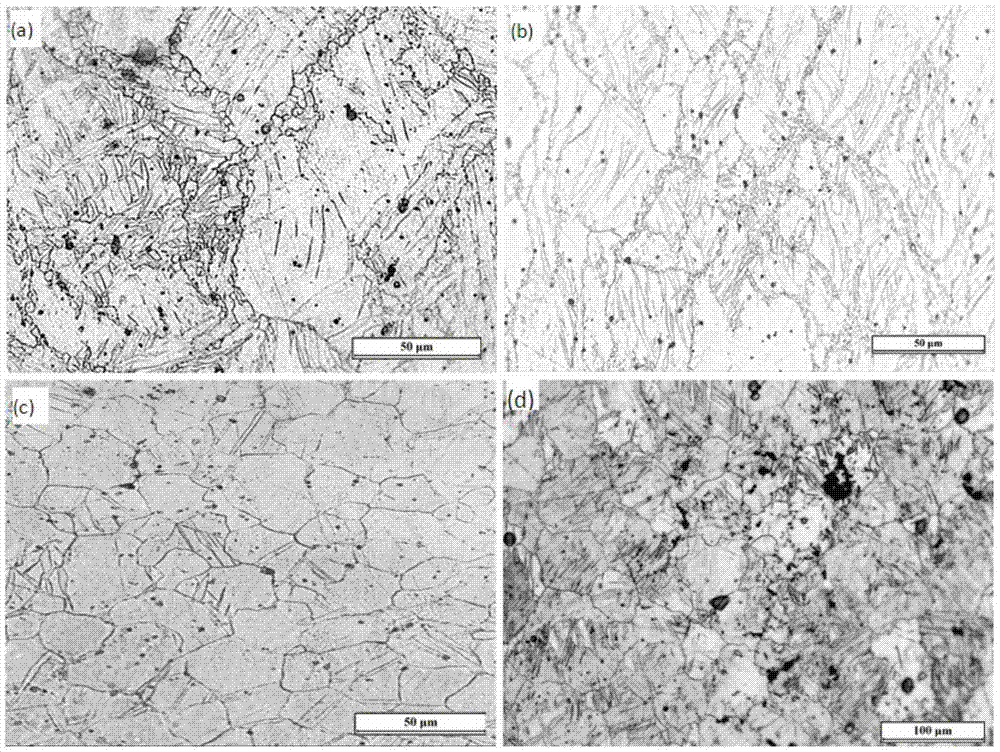 A hot rolling deformation device and process method for processing magnesium alloy welded joints