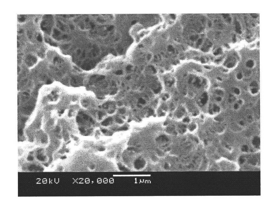 Method for preparing nano-pore structured polyethylene terephthalate (PET) foams by foaming through supercritical CO2
