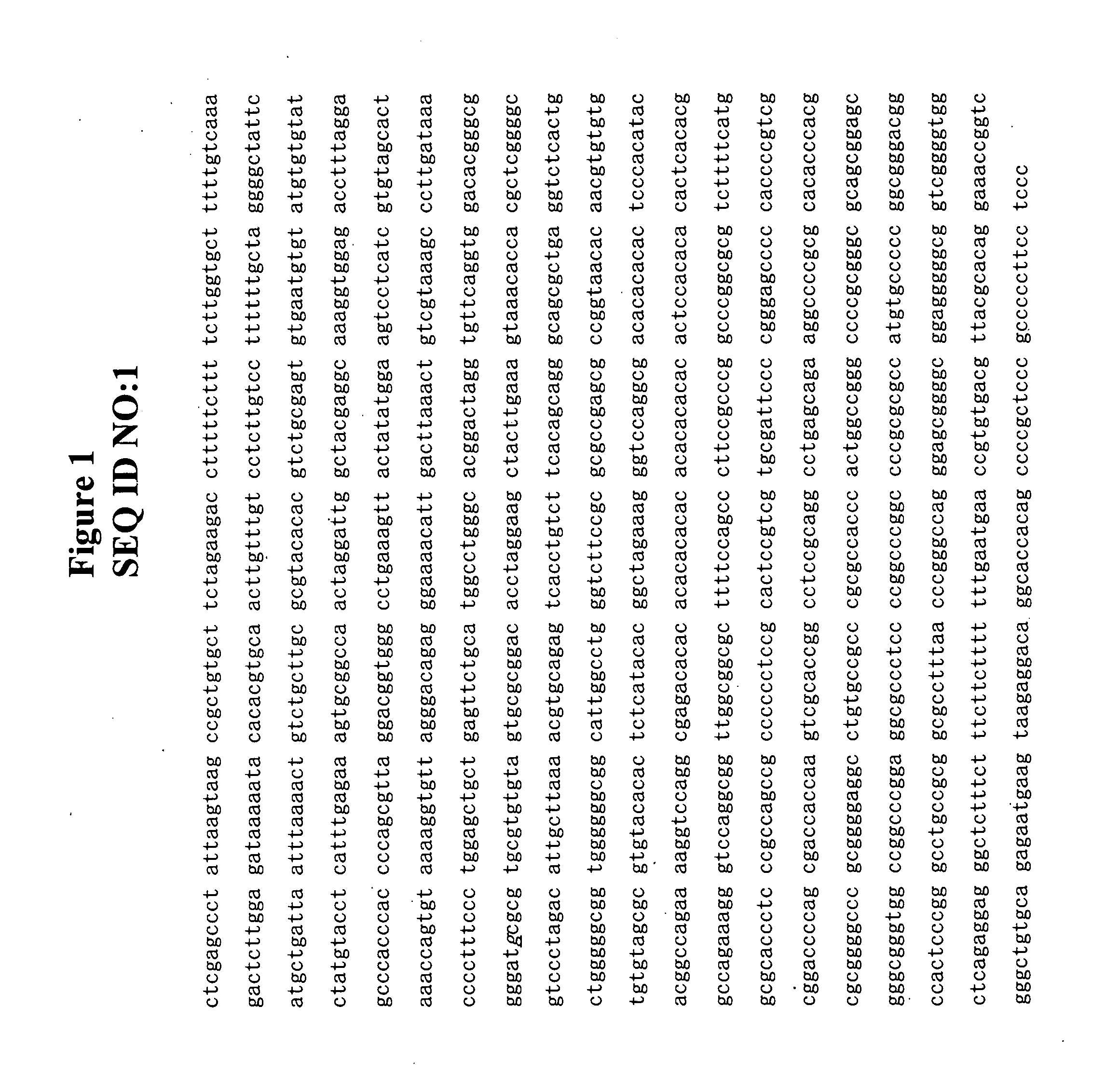 Methods and compositions for cancer therapy